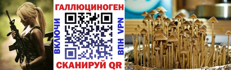 дарнет шоп  Константиновск  blacksprut зеркало  Галлюциногенные грибы Cubensis 