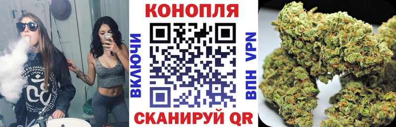 Конопля Bruce Banner Константиновск